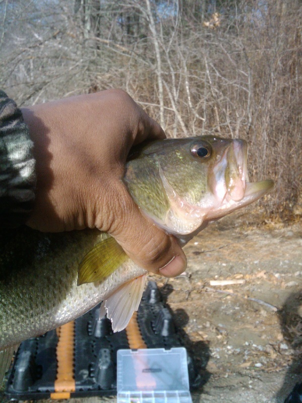 Caught this baby right in the Kisser near Lakeville