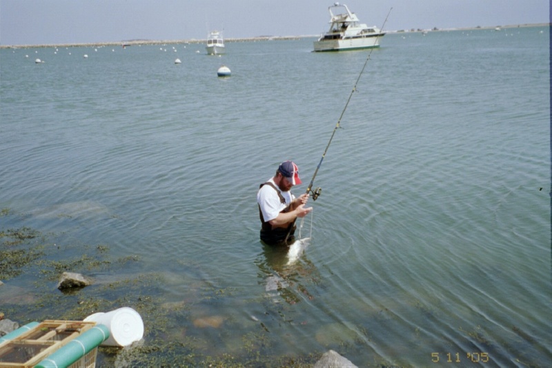 Striped Bass Fishing