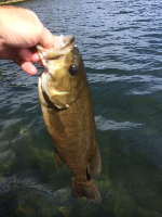 Daytime fishing Fishing Report