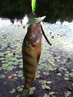 Triphammer Pond