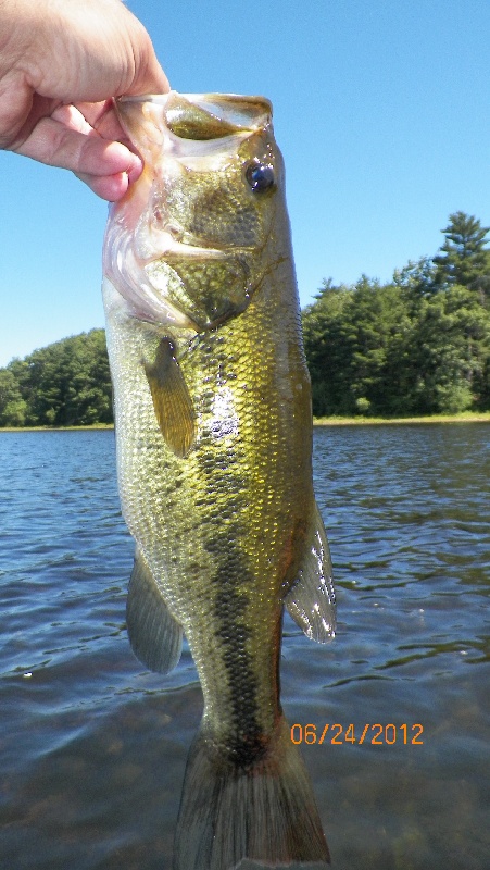 2 lb. 2 oz. near Canton