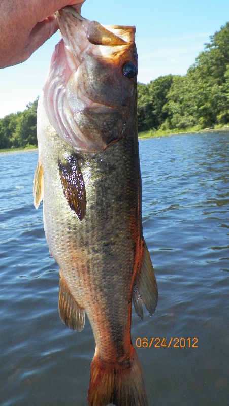 2 lb. 9 oz. near Canton