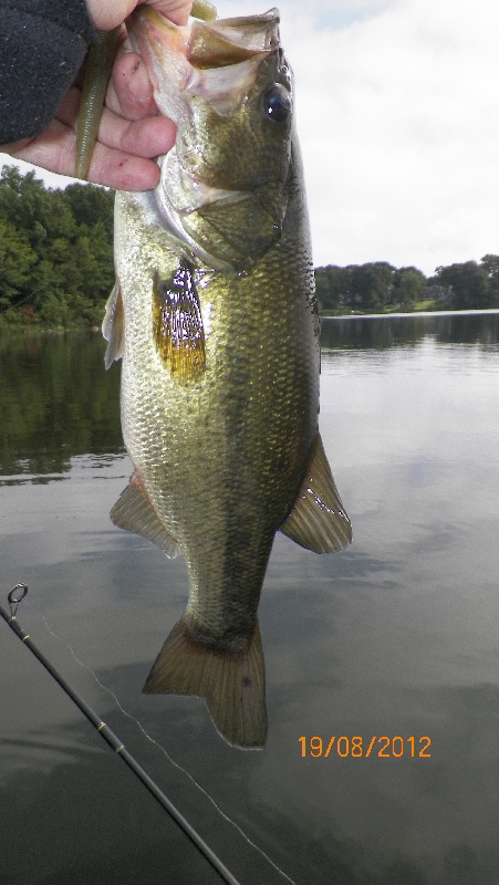 1lb. 8 oz. bass near Braintree