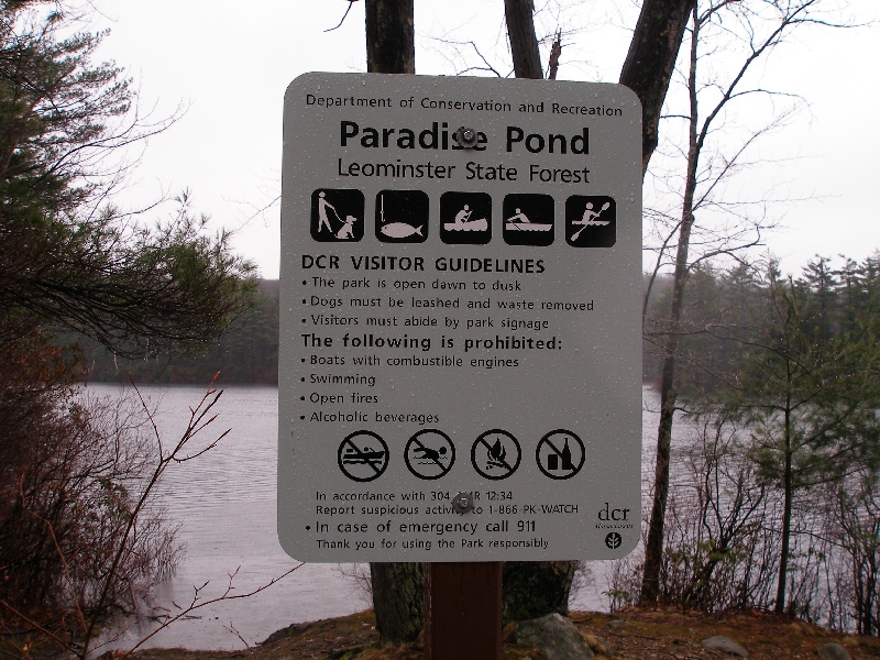 Paradise Pond near Princeton