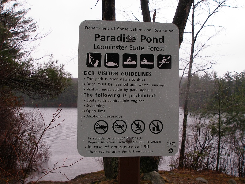 Paradise Pond