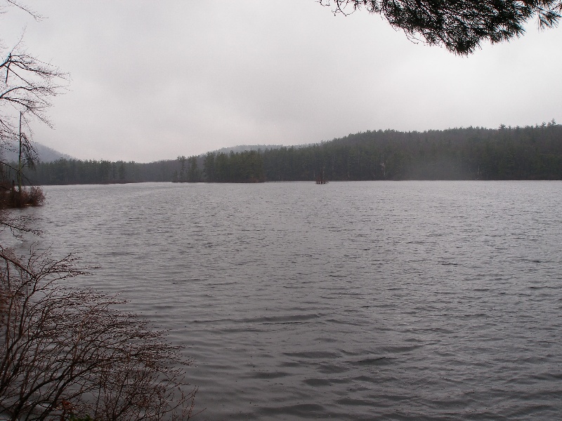 Paradise Pond near Princeton