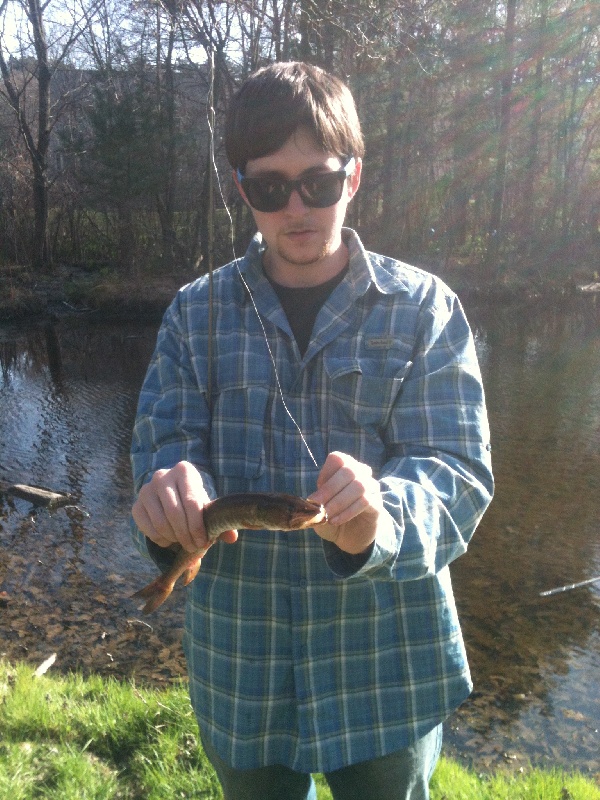 Redfin Pickerel