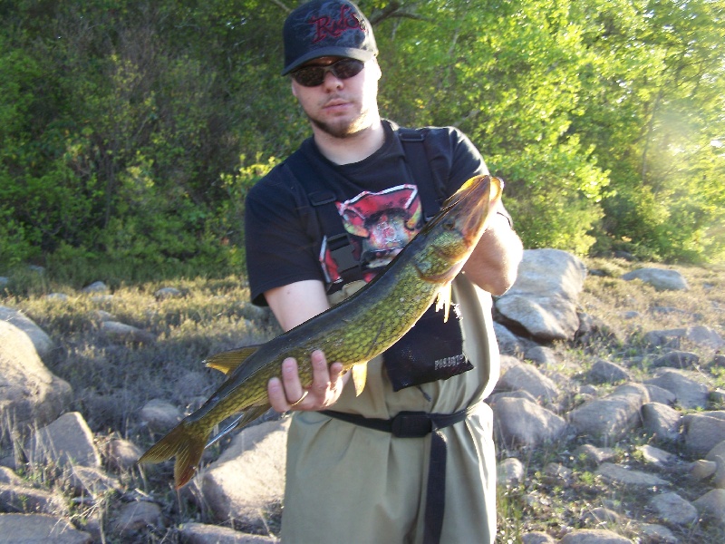 Biggest Pickerel