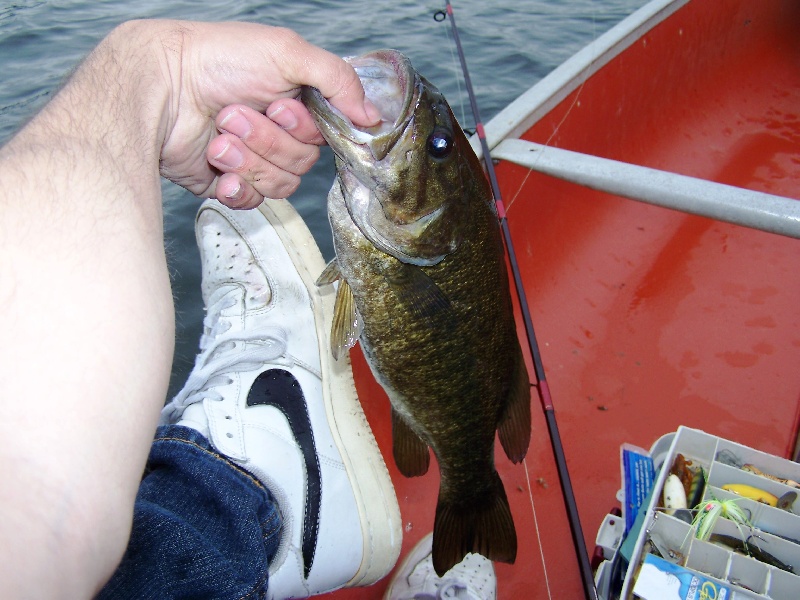 1.5 pound smallie 