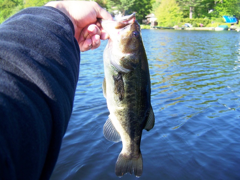 Fishing near Hopkinton in Middlesex County, Massachusetts - MA Fish Finder