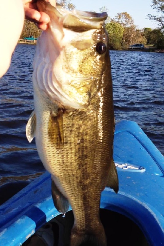 4.5 Poundah near Westport