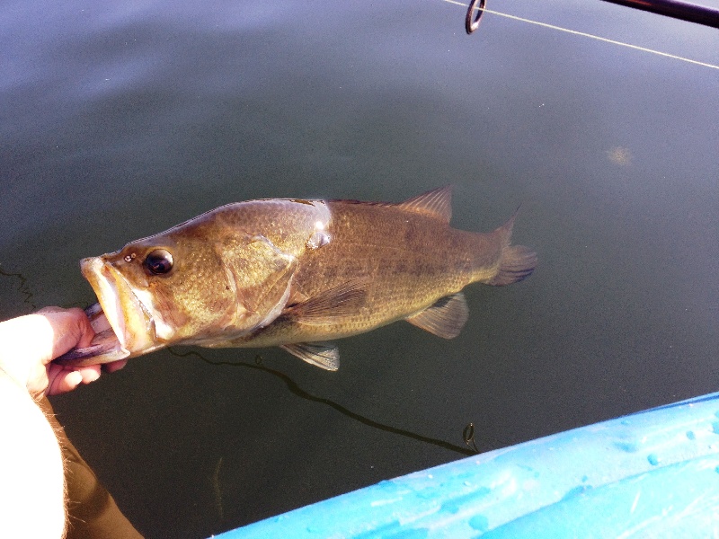 6 pound 2 ounce under water...