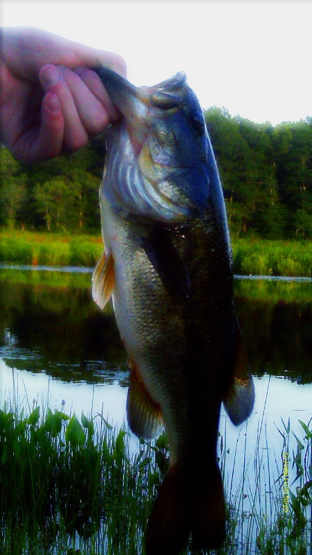 Brian's Lunker near Brookfield