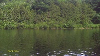 Wachusett Reservoir