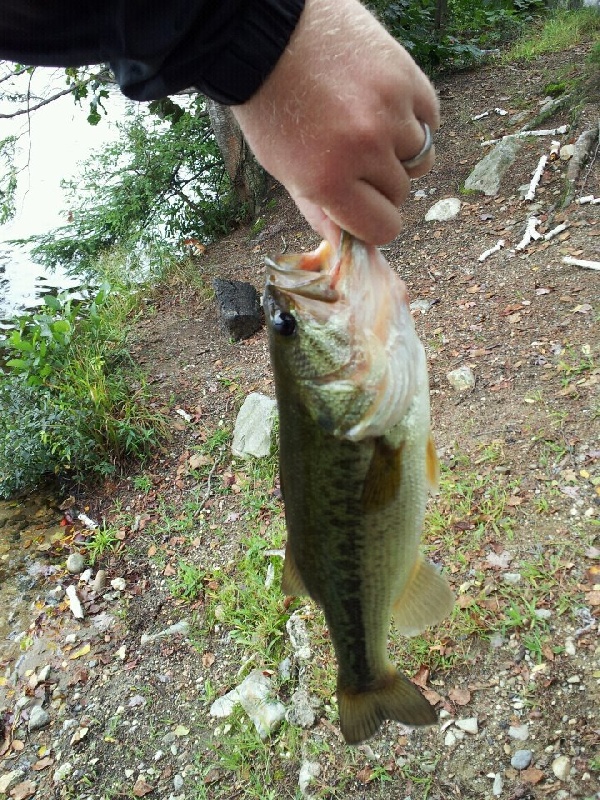 Wendell fishing photo 2