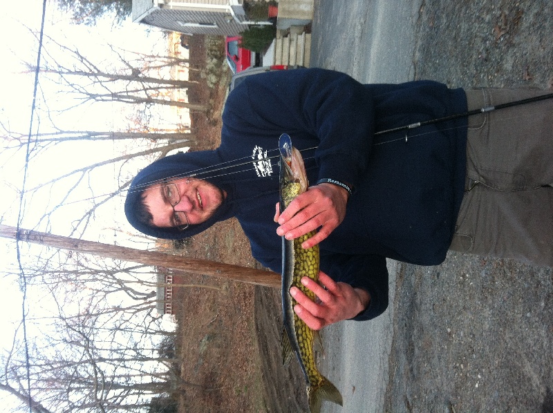 First decent pickerel of 2013