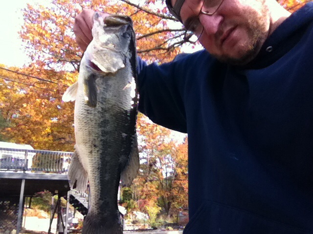 Late October largemouth