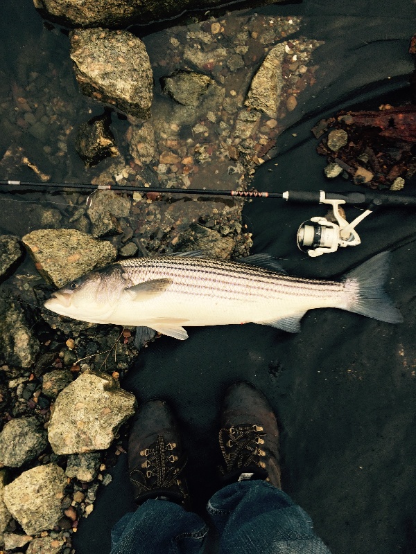 Somerville fishing photo 4