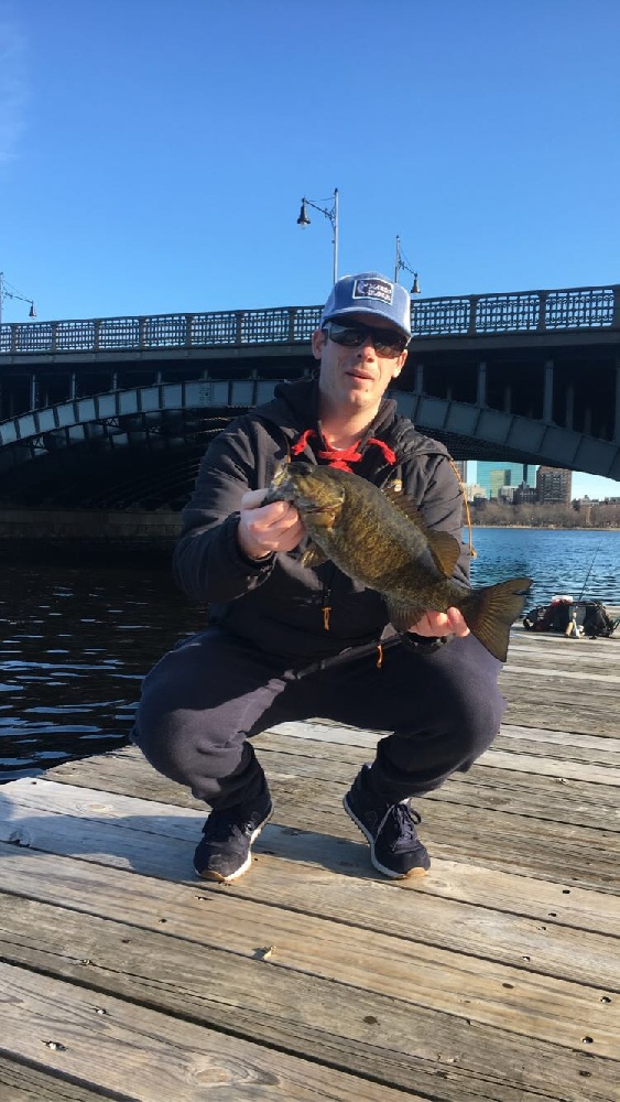 smallmouth bass - Charles River Basin