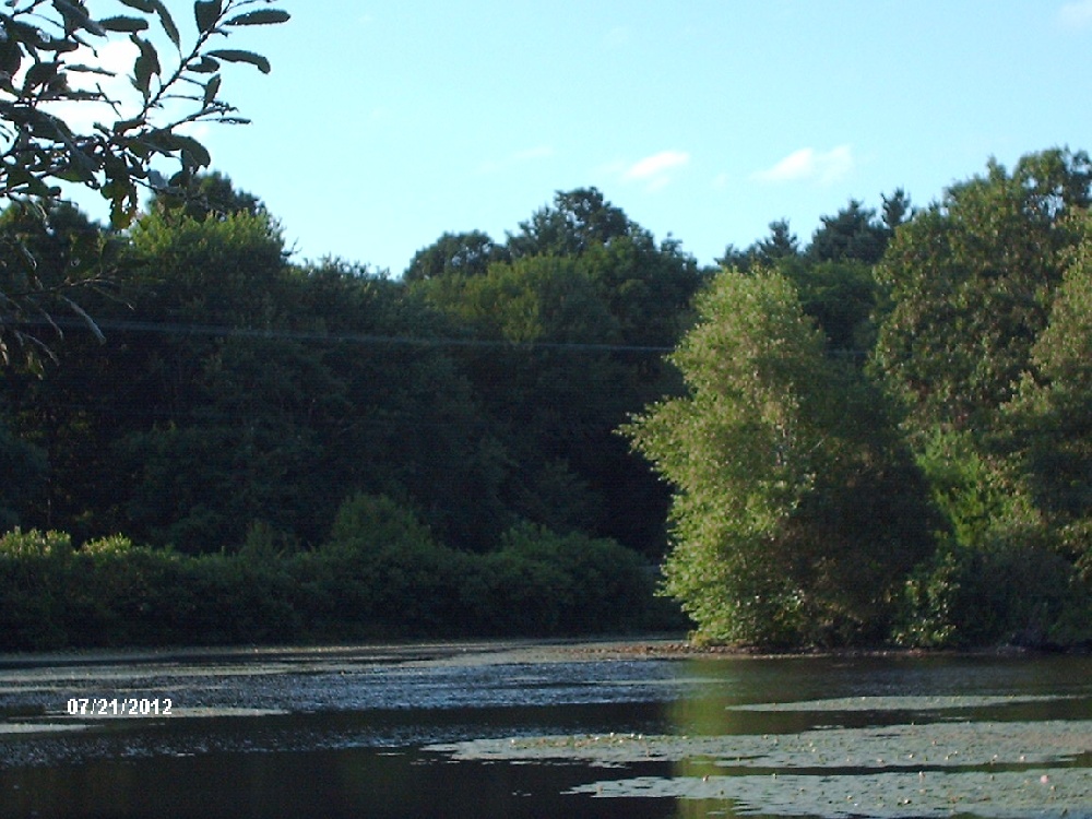 Spruce Pond near Franklin
