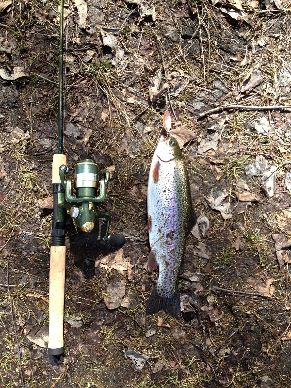 Pentucket Rainbow