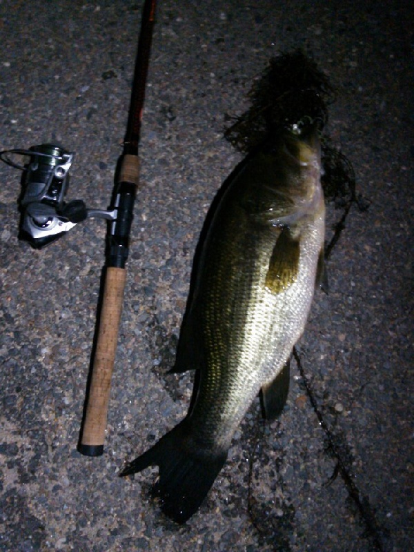Night fish near Fitchburg