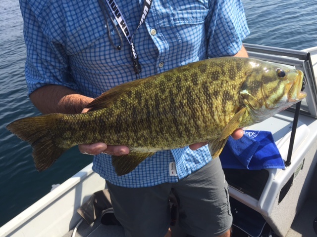 Beautiful Smallmouth