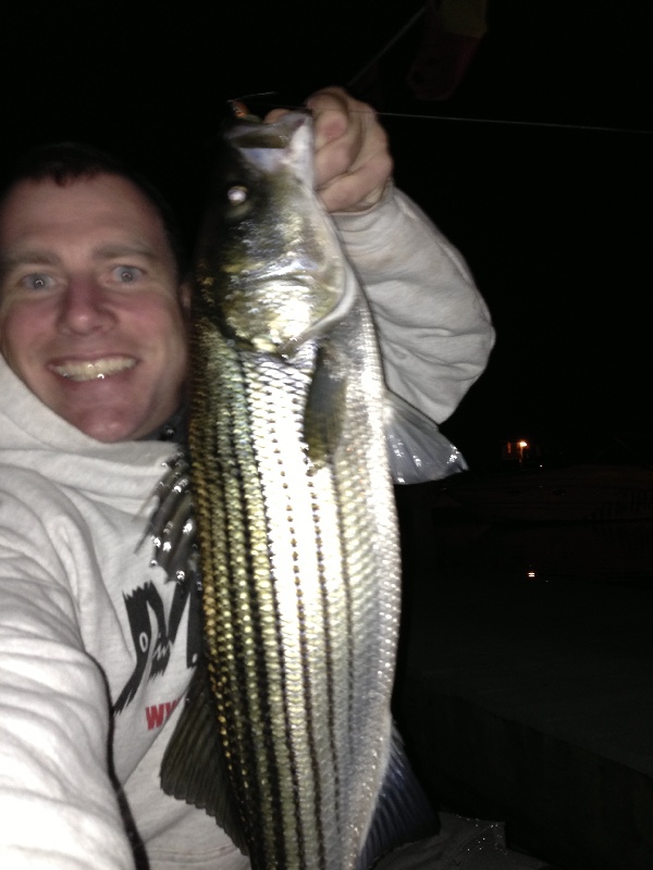 Striper