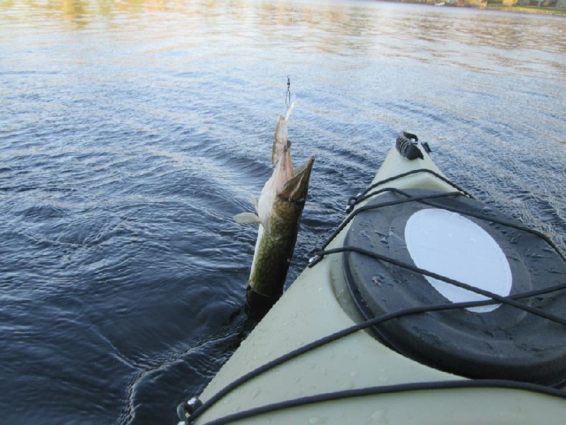 First Kayak Trip of 2014! 1/2