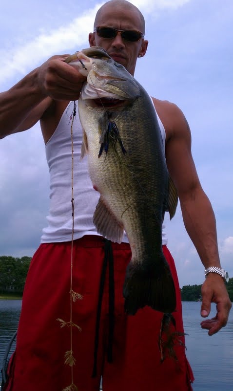 6lber near Wareham