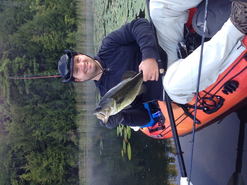 Bass near Monterey