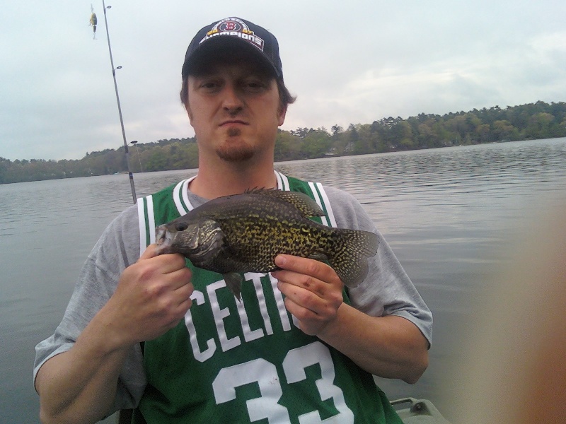 1lb Black Crappie