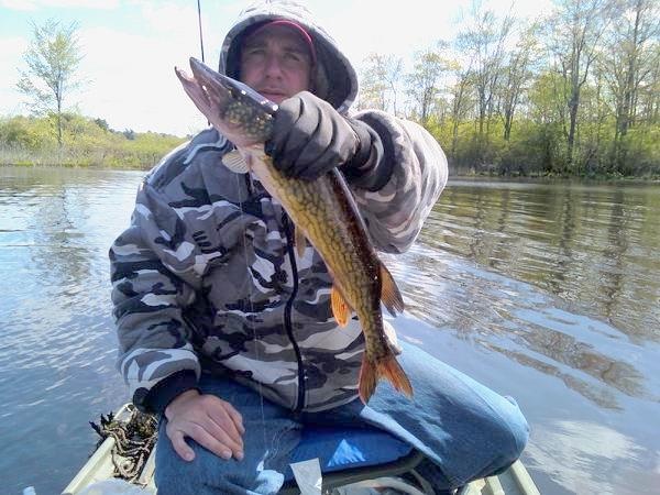 2lb 8oz pickerel