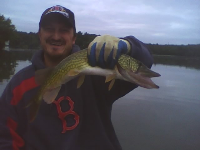 SEPTEMBER PICKEREL