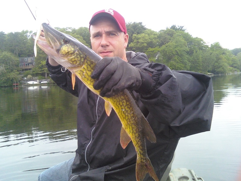 2lb 10oz Pickerel