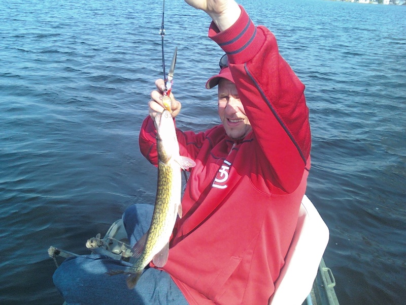 PICKEREL