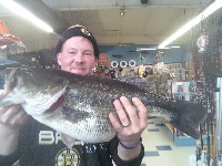 AMAZING!!!! GOLD PIN LARGEMOUTH 9.4LBS!!!!!