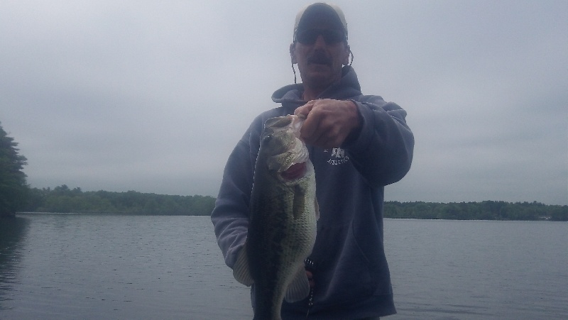 3.3LBS near North Attleborough