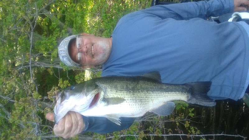 4lb 7oz near West Springfield