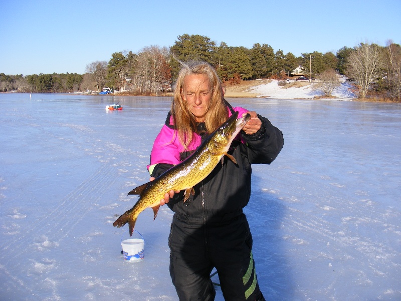 Pickerel