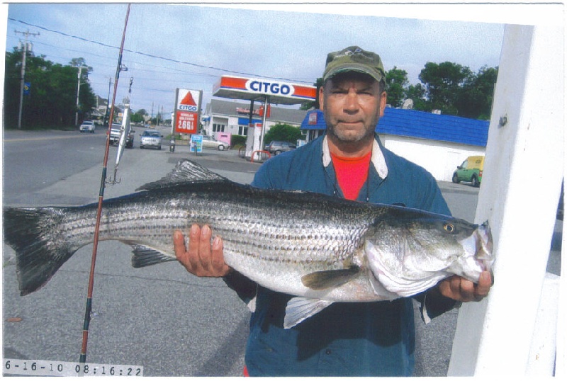 Herring Run