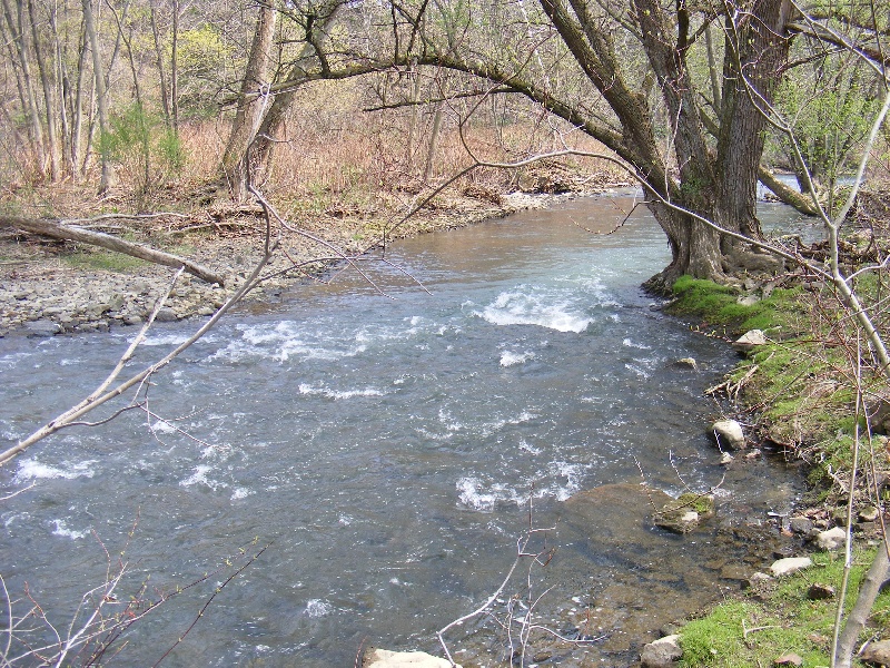 Trout Fishing