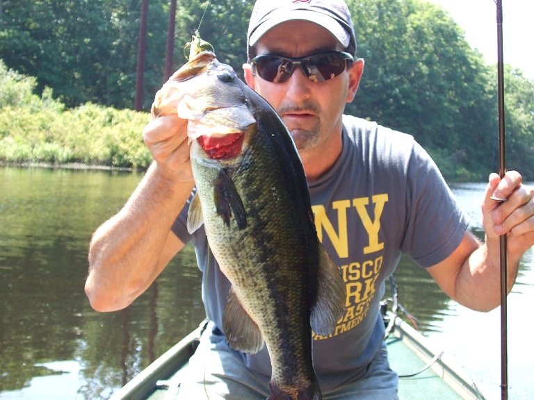 3lb frog fish