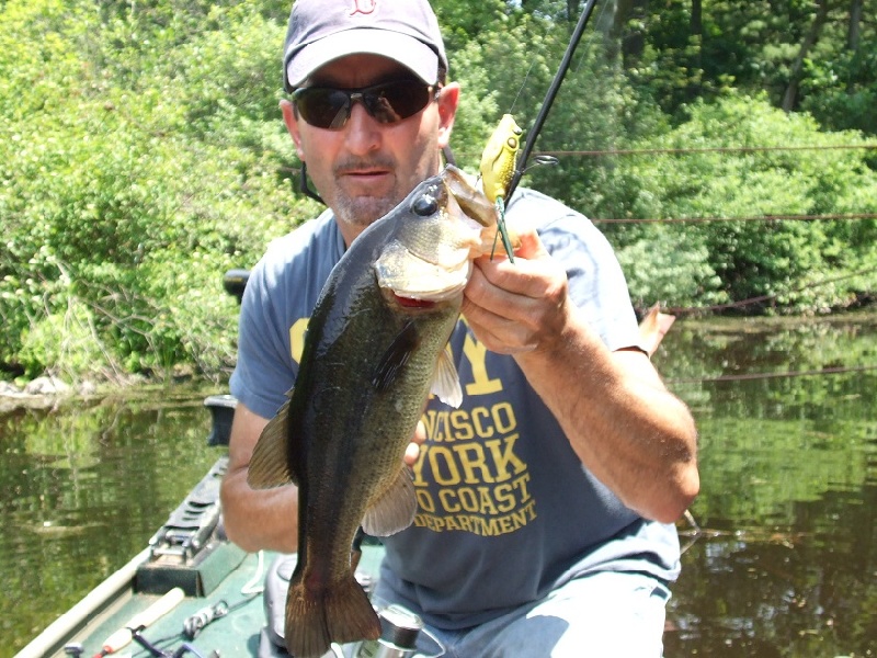 2.5lb frog fish