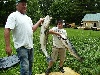 mad striper cape cod