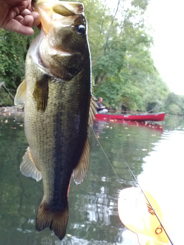 Uxbridge fishing photo 5