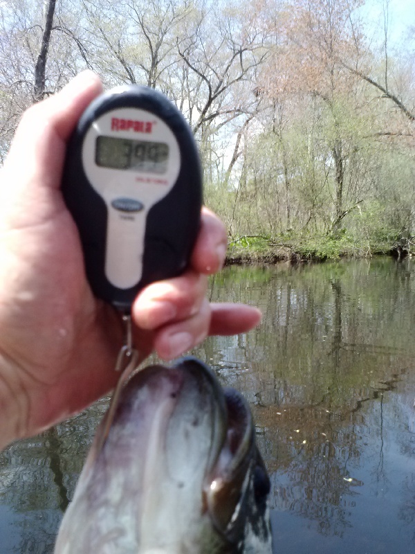 4 lb bass near Blackstone