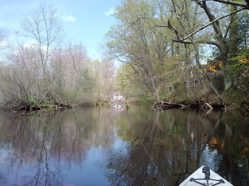 4 lb bass near Blackstone