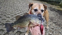 February Fishing 2016 Fishing Report