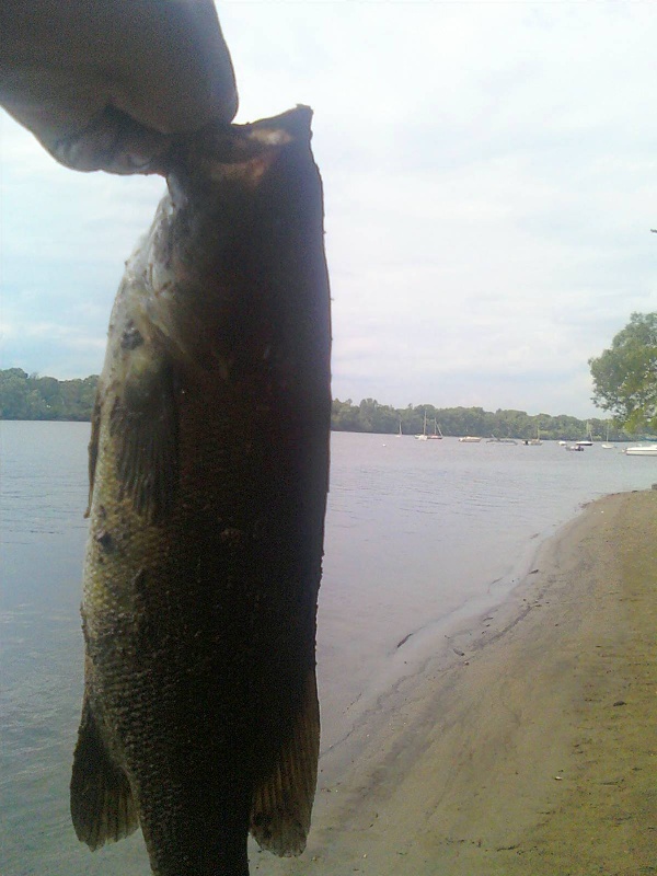 Agawam fishing photo 0